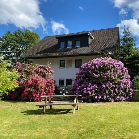 Auf Der Platte * Βίντερμπεργκ