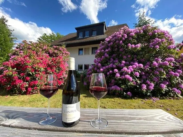 Auf Der Platte وينتربرغ