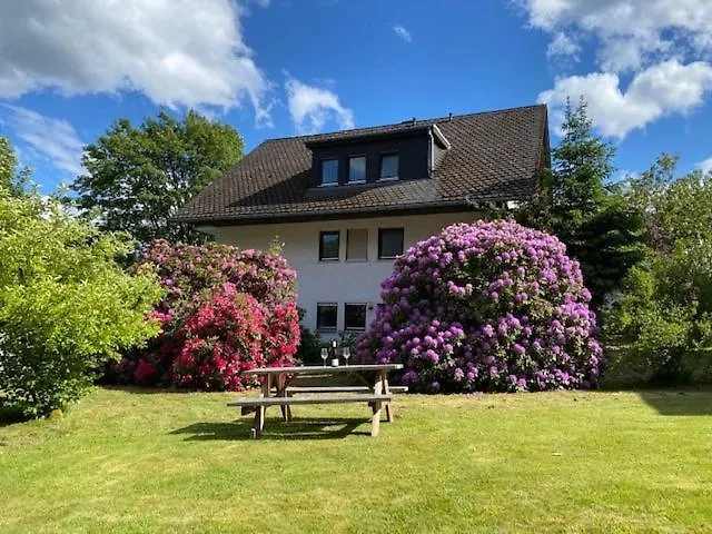 Auf Der Platte * Βίντερμπεργκ